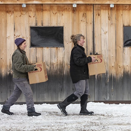 Naisten Muckster Ii Mid Ruudullinen Muckboot Pinkki