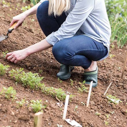 Naisten Muckster-kengät Muckboot Vihreä