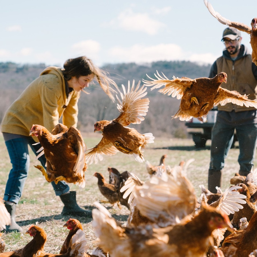 Muckboot Naisten Muck Originals Pull-on Nilkkurit Taupe