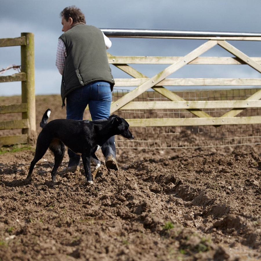 Bark Miesten Retki Pro Kengät Muckboot