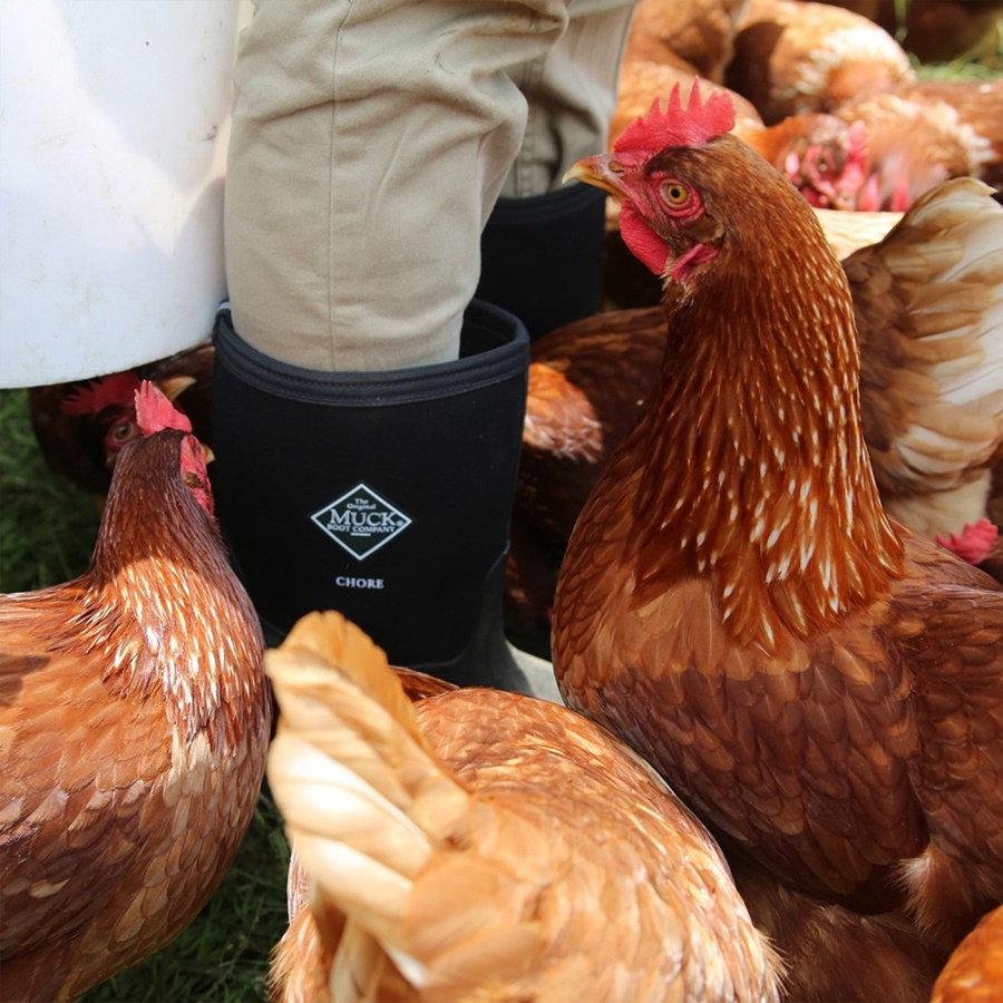 Lasten Urakka Klassiset Korkeat Saappaat Mustat Muckboot