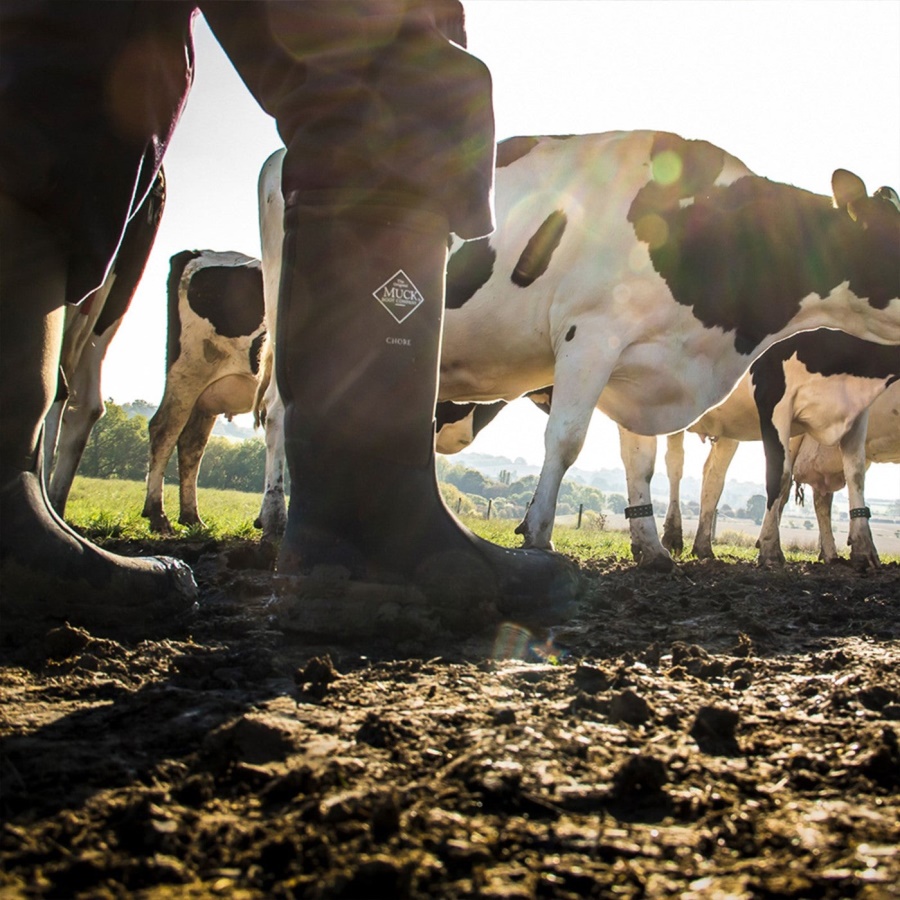 Moss Unisex Urakka Teräskärki Korkeat Saappaat Muckboot