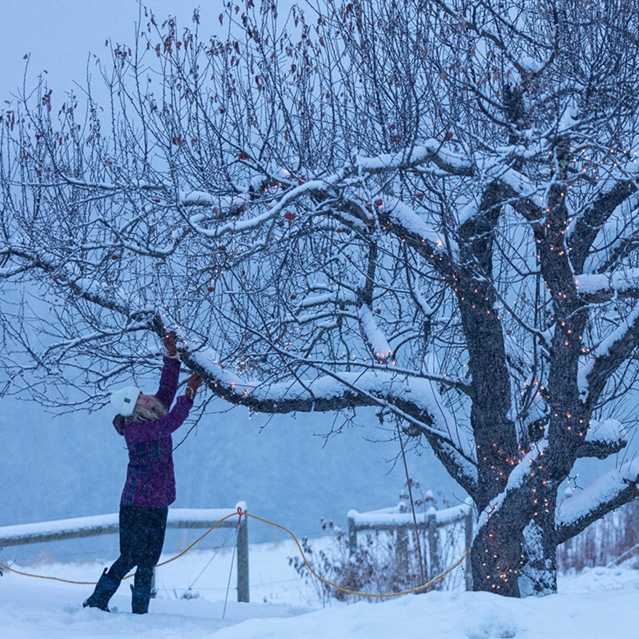Muckboot Harmaa Geometrinen Printti Naisten Arktinen Jää Vibram Ag All Terrain Lyhyet Saappaat