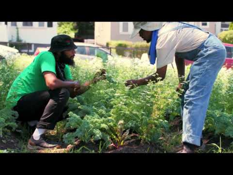 Muckboot Grey Miesten Outscape Nauhakengät